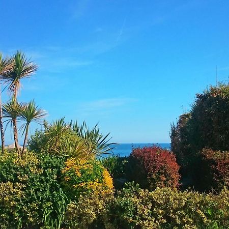 Falmouth Self Catering Lodges Εξωτερικό φωτογραφία